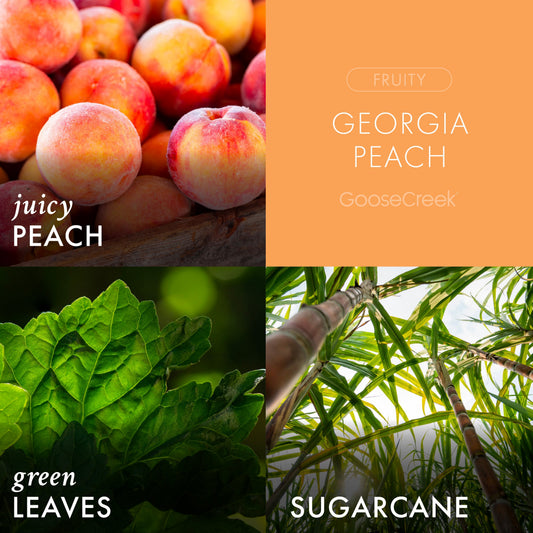 Georgia Peach 7oz Single Wick Candle