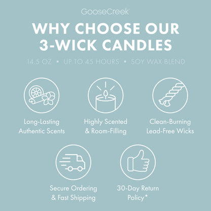 Island Bliss 3-Wick Candle