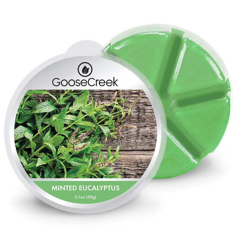 Minted Eucalyptus Wax Melt - DEKN