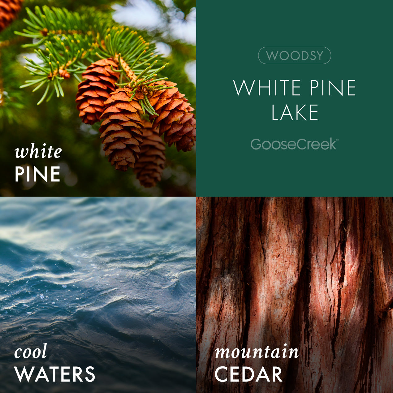 White Pine Lake Large 3-Wick Candle